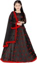 Girls Lehenga Choli Ethnic Wear Embroidered Lehenga, Choli and Dupatta Set  (Black, Pack of 1)
