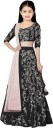 Girls Lehenga Choli Ethnic Wear Embroidered Lehenga, Choli and Dupatta Set  (Black, Pack of 1)