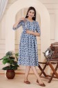 Women Printed Cotton Rayon Ethnic Dress  (Blue)