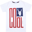 Boys Printed Cotton Jersey T Shirt  (Multicolor, Pack of 1)