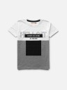 Boys Typography Cotton Blend T Shirt  (Multicolor, Pack of 1)
