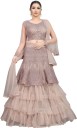 Embroidered Semi Stitched Lehenga & Crop Top  (Pink)