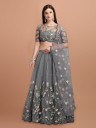 Embroidered Semi Stitched Lehenga Choli  (Grey)