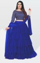 Self Design Semi Stitched Lehenga Choli  (Blue)