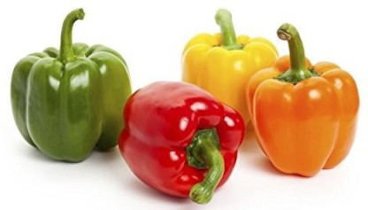 USTAR CAPSICUM Seed  (200 per packet)