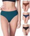 Pack of 4 Women Hipster Multicolor Panty