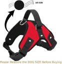 wooptor Dog Harness BodyBelt Adjustable Labrador Small && Medium & Large Dogs Puppies Dog Standard Harness  (Large, Red)