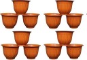 Picvel Planter Indoor Outdoor Flower Pots Plant Container Set  (Pack of 12, Plastic)