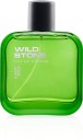 Wild Stone Forest Spice Eau de Parfum  -  100 ml  (For Men)