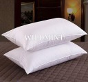 WILD MINT Microfibre Solid Sleeping Pillow Pack of 2  (White)