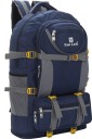 Expandable Travel Rucksack for Outdoor Sport Camping Hiking Trekking Bag-Blue Rucksack  - 60 L  (Blue)