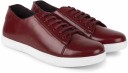 Sneakers For Men  (Brown)