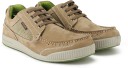 Sneakers For Men  (Green)