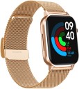 conekt SW2 1.69 inch Full HD display with bluetooth calling and metallic strap Smartwatch  (Gold Strap, 1.69 Inch)