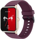 Gizmore GizFit Ultra BT Calling Smartwatch With 1.69" HD Display| 60+ Sports Mode Smartwatch  (Burgundy Strap, Regular)