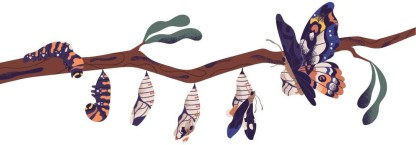 [Pre-Book Deal] ASIAN PAINTS Extra Large Wall-Ons 'Butterfly Transformation' Decal, DIY Removable Peel and Stick Wall Sticker  (Pack of 1)