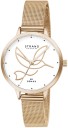 Hummi Rose Analog Watch  - For Women S720LXVWMV_A