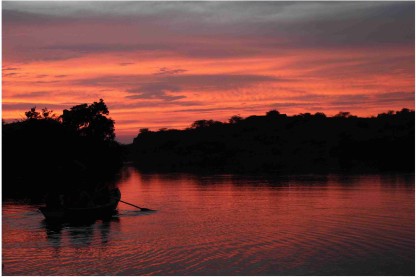 DARKINDIA Nature Wallpaper  (30 cm X 45 cm)