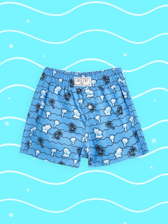 Gini and Jony - Infant Boys Blue & White Pure Cotton Printed Boxers 121246524581