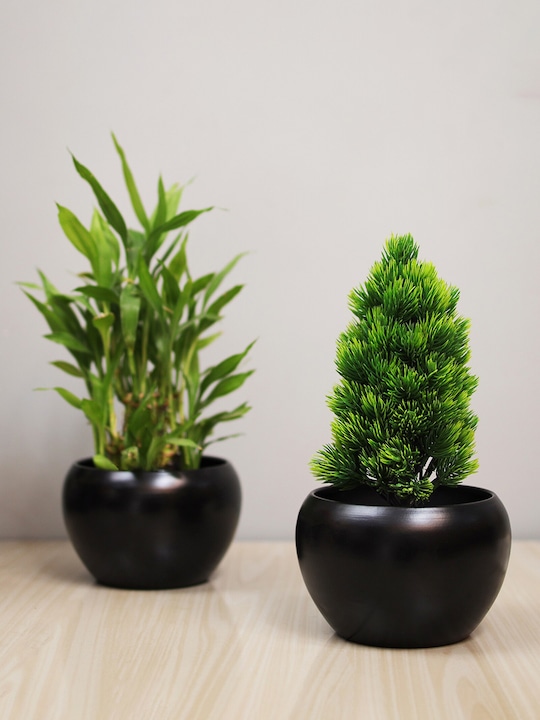 Homesake - Set of 2 Metal Planters