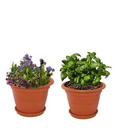 Brown Plastic 10 Inch Heavy Duty Planters Pots - Set of 2