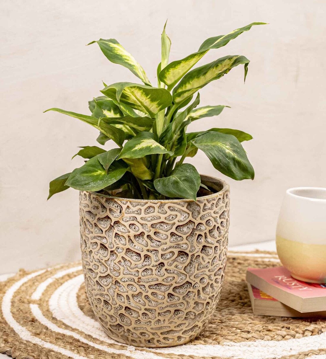 Textured Mud Brown Ceramic Desk Planter, By The 7th Dekor