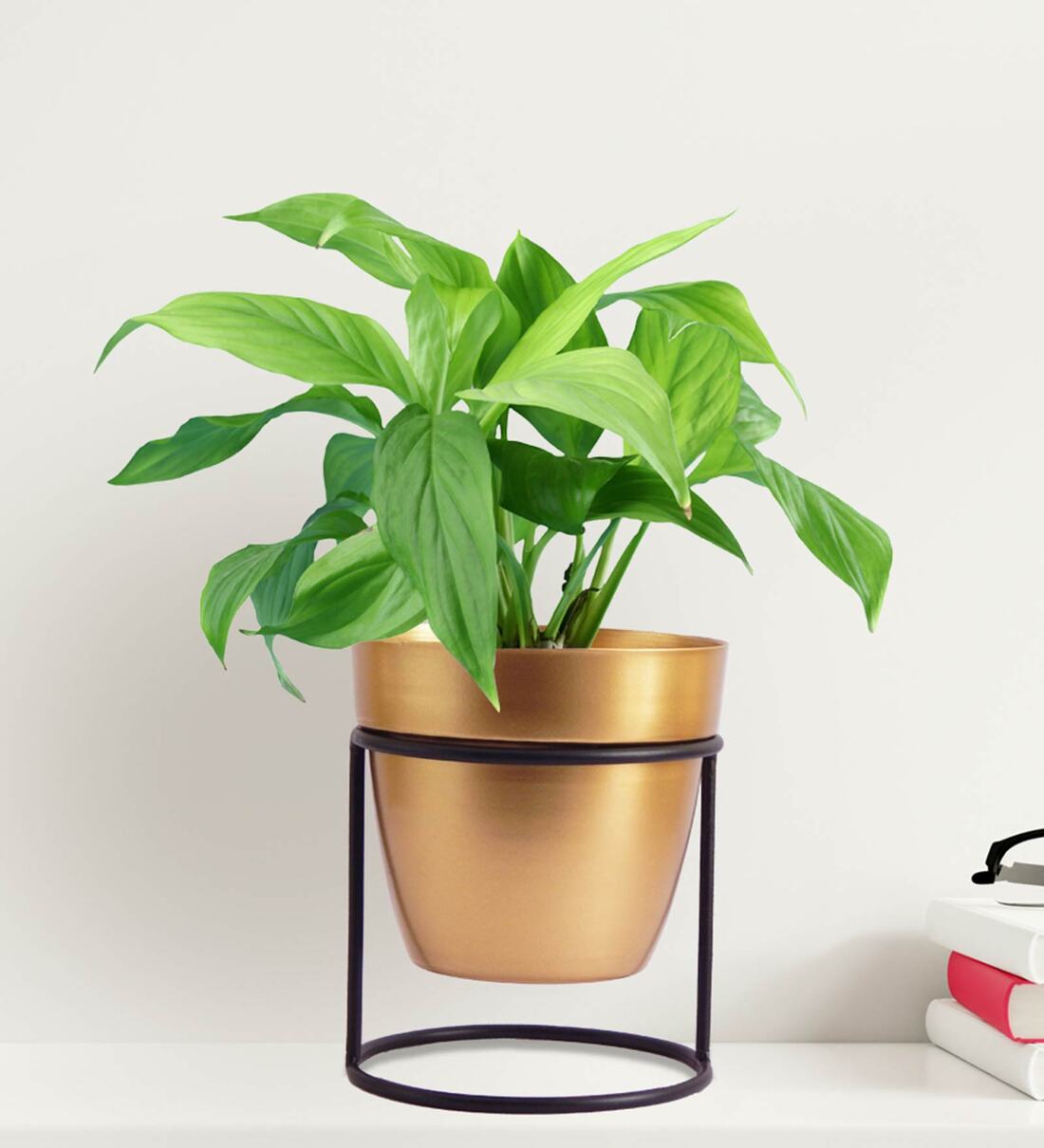 Gold Metal Amy Floor Planter, By Ecofynd