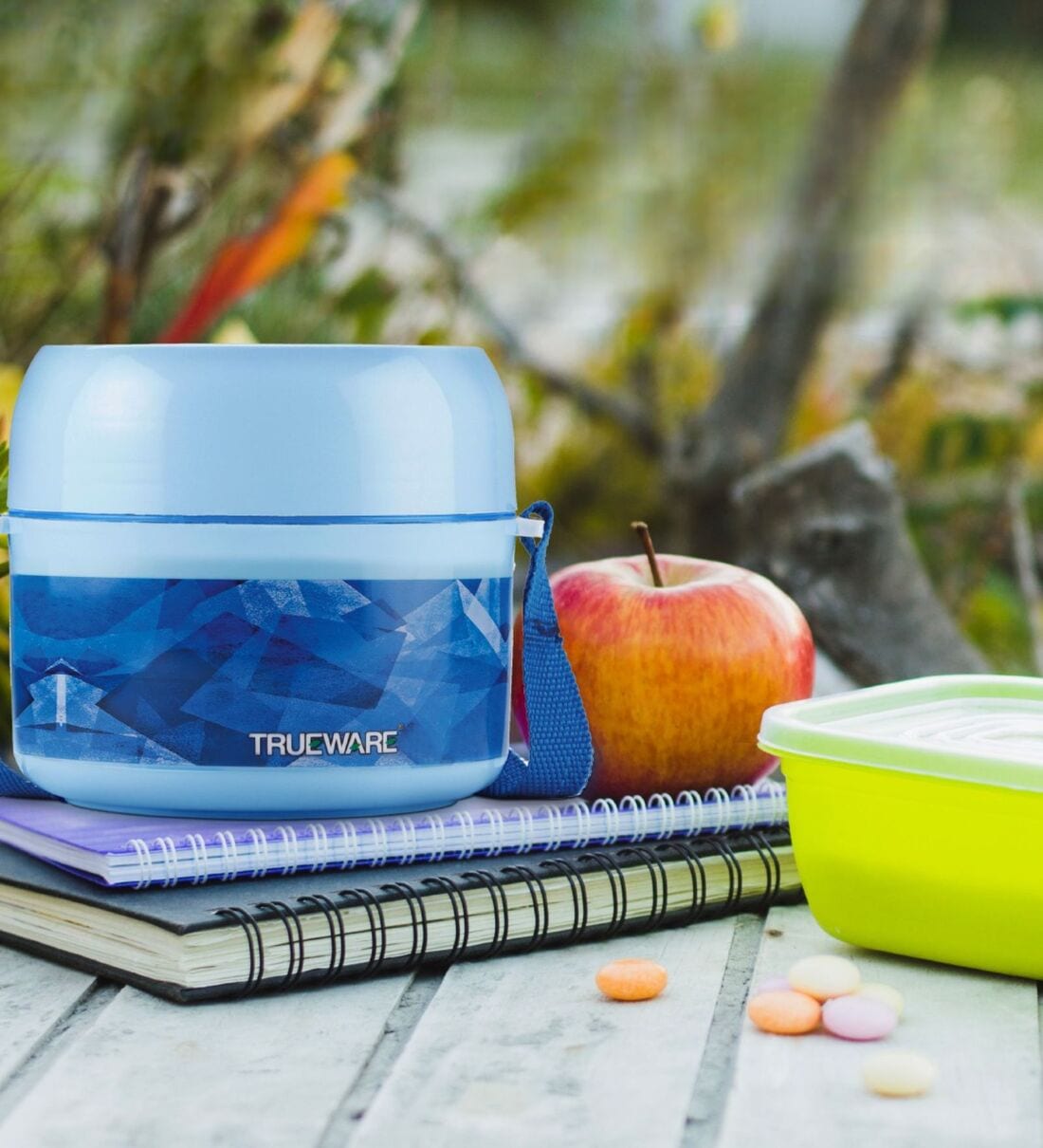 Foody Blue Plastic  Thermoware Lunch Box, By Trueware