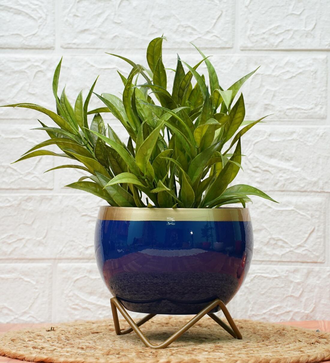 Metal Planter BlueGolden Print with stand , By Gold Dust