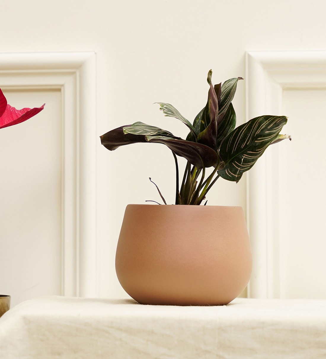 Mesa Rose Gold Terracotta Desk Pot,Share By Purezento