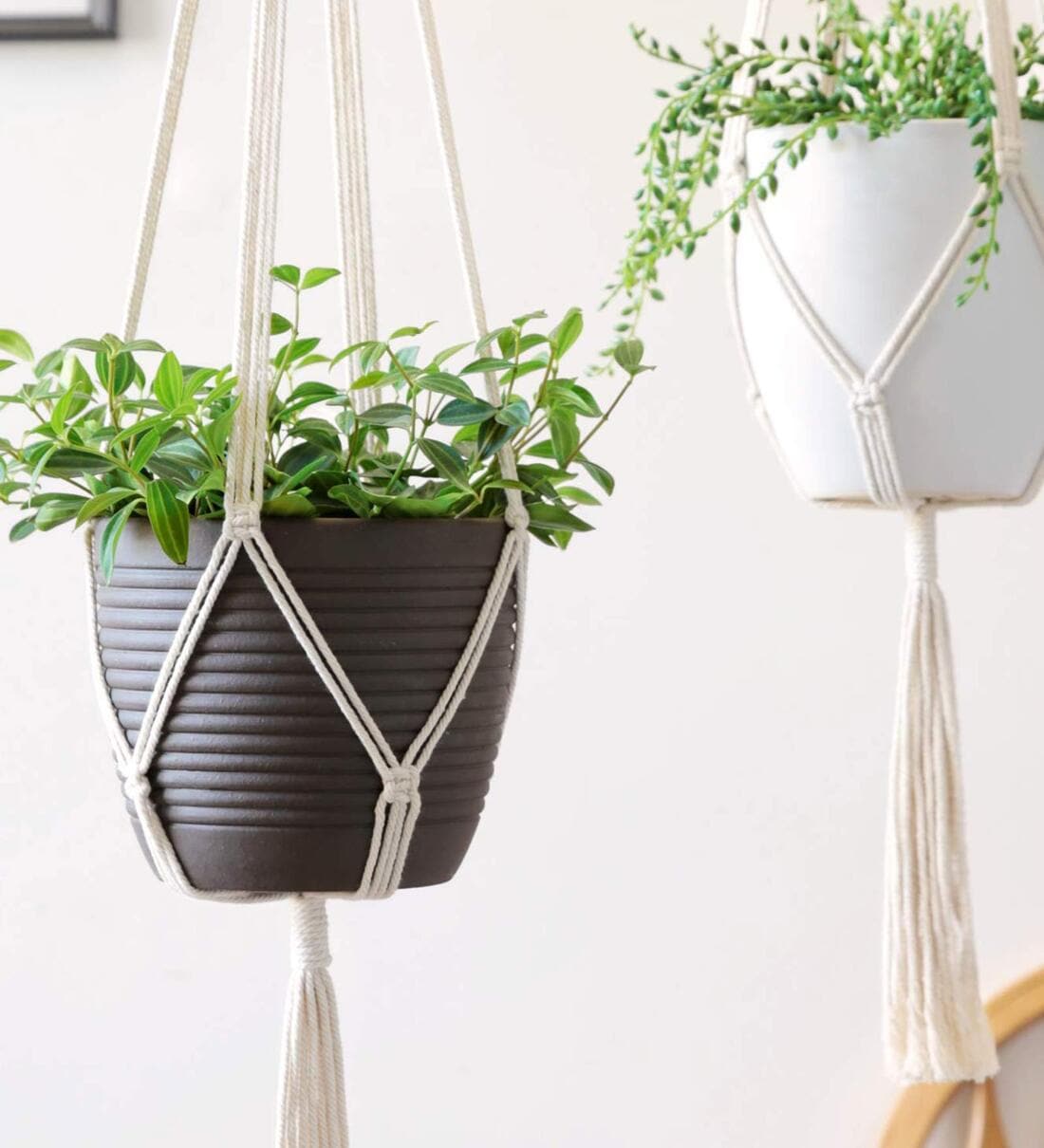 Set of 2 Off White Macrame Boho Hanging PlanterShare By Ecofynd