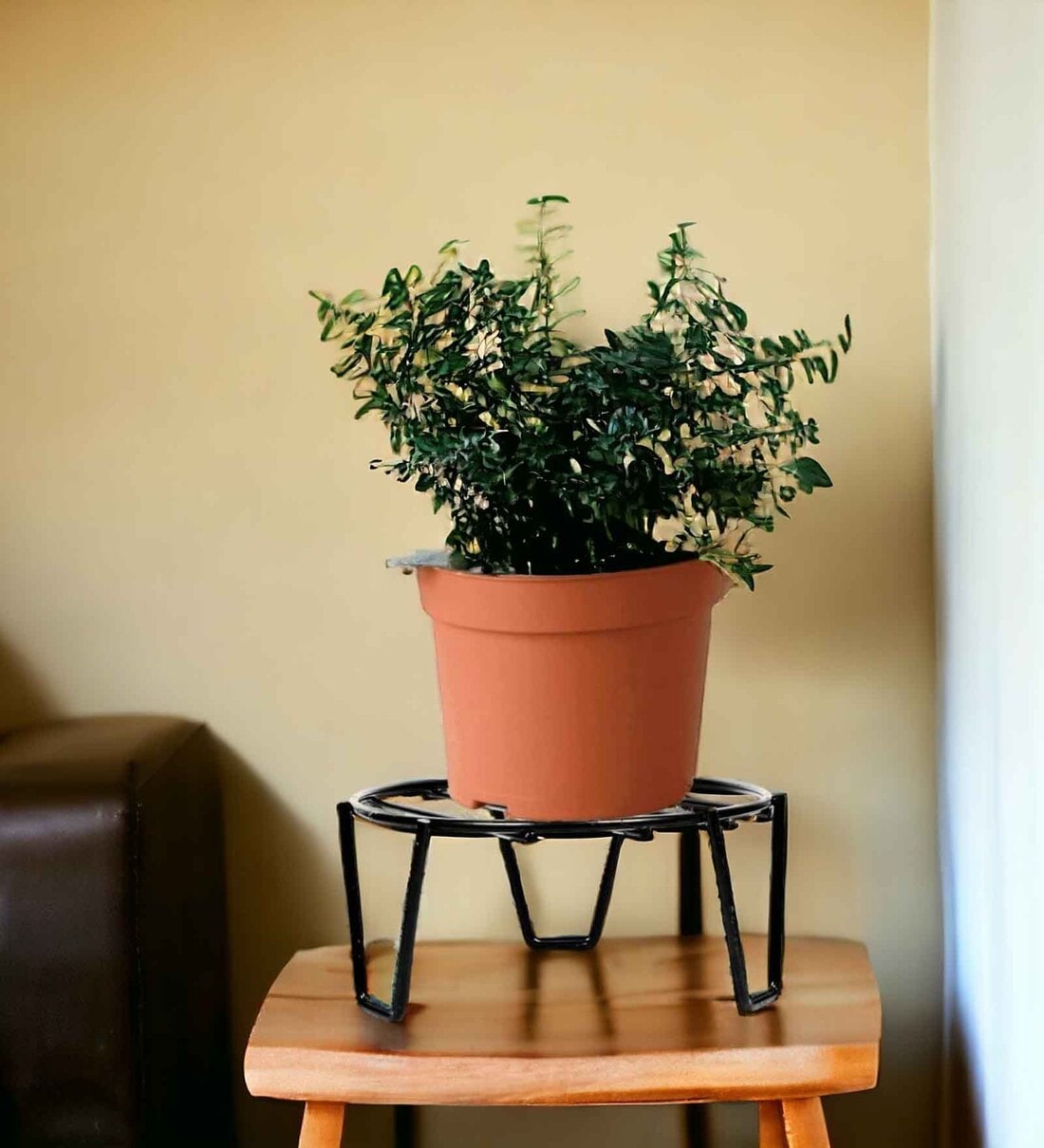 Patio Black Metal Plant StandShare By Ecofynd