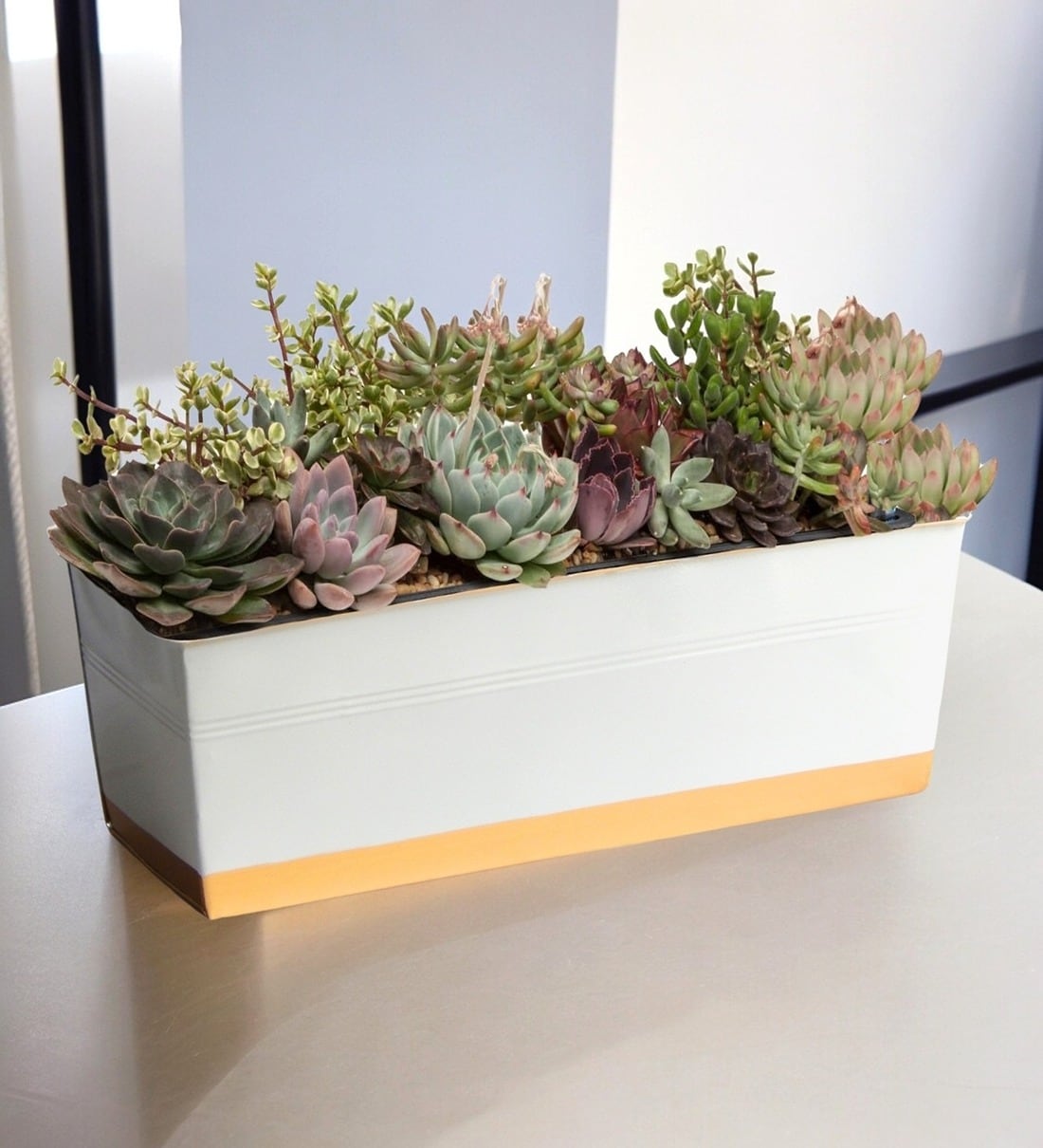 White Rectangular PlanterShare By Ecofynd