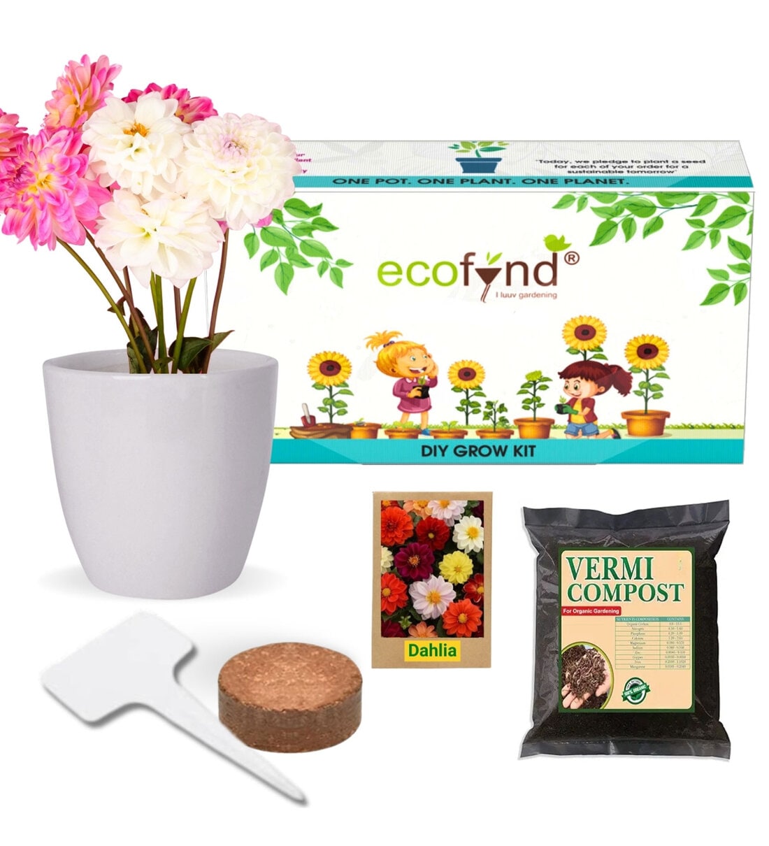 Easy Grow It Yourself Dhalia Gardening Kit for Home And GardenShare By Ecofynd