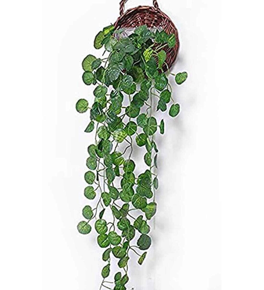 Polyester Green Begonia Creeper Without Pot Artificial PlantsShare By Casacraft from Pepperfry
