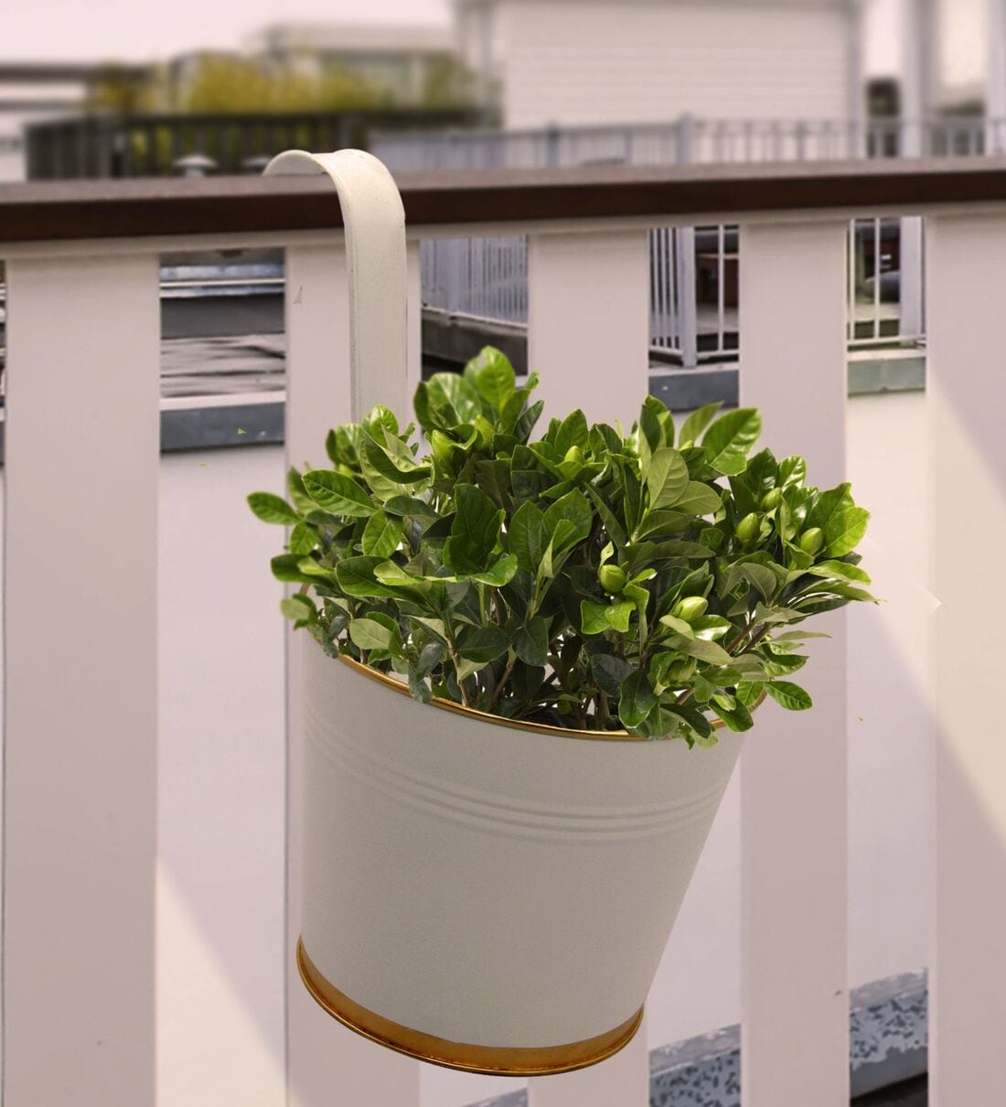 7 Inches White Metal Railing PlanterShare By Ecofynd