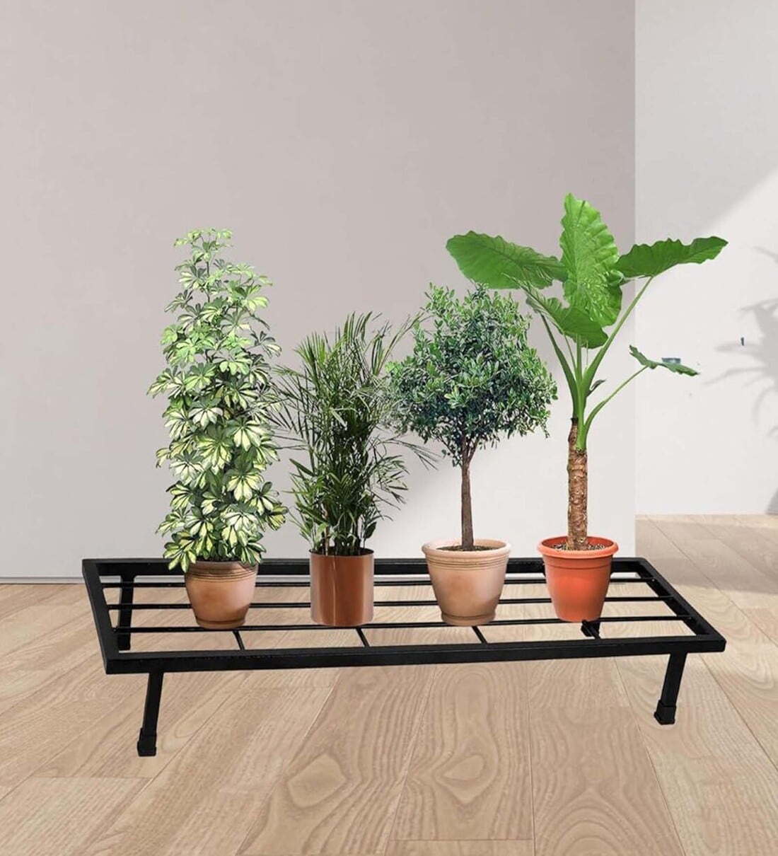 Black Metal Plant Stand (1 Pc)Share By Stand Master