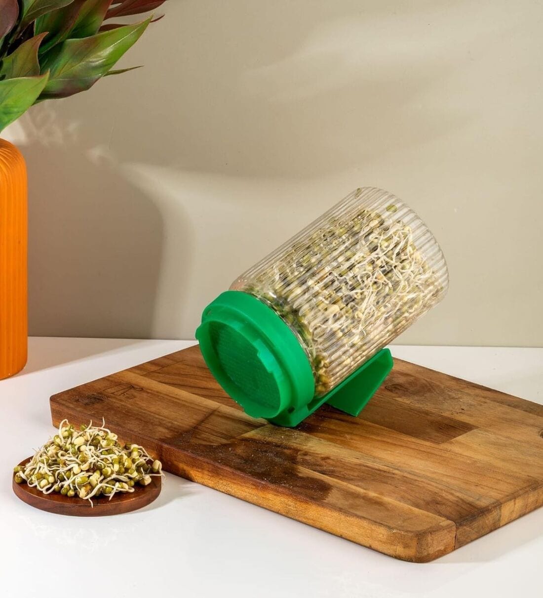 Plastic Sprouts Maker Jar 720ml BPA-Free Food-GradeShare By Regalo