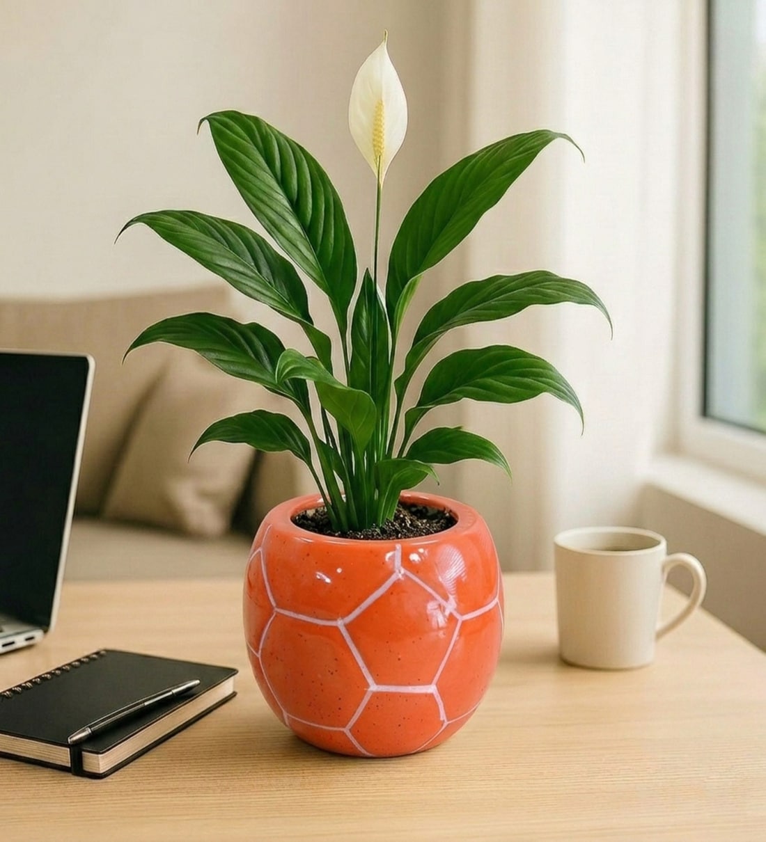 Orange Football Design Ceramic Pot for Indoor & Outdoor PlantsShare By VoiDrop