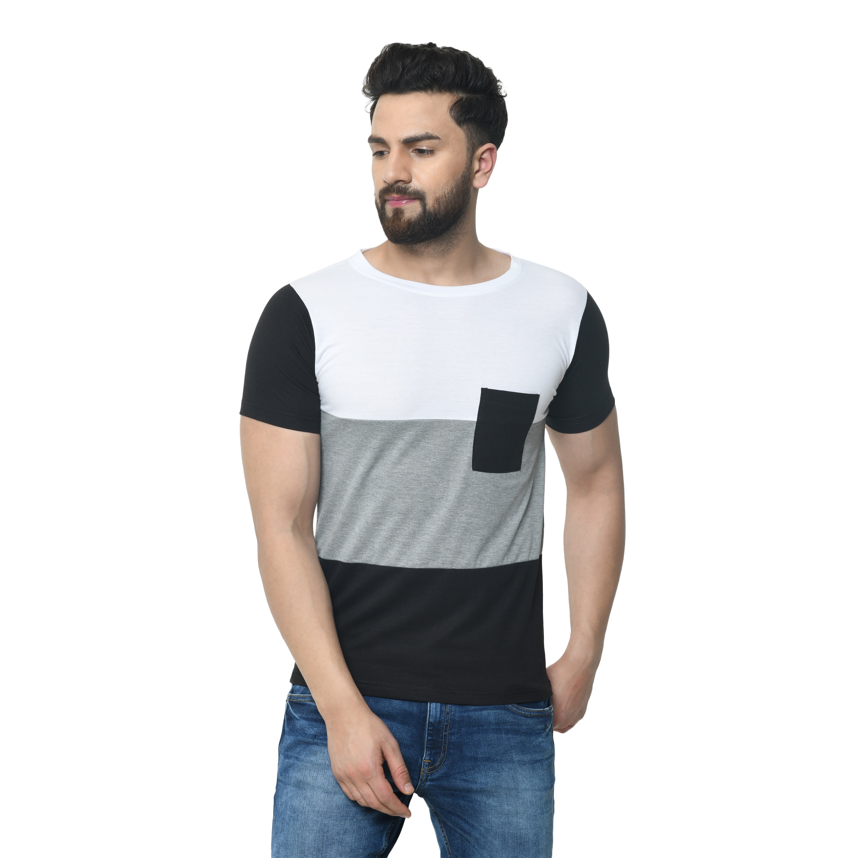 Modish Mens Multicolor Regular Fit Half Sleeve Round Neck T-Shirt