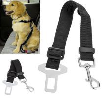 Dog Belts & Collars Startiing ₹  149