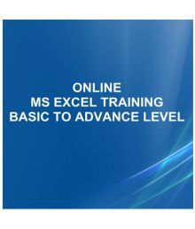 I Turn Institute Online MS Excel Professional Training Program from Basic to Advance Online Study Material