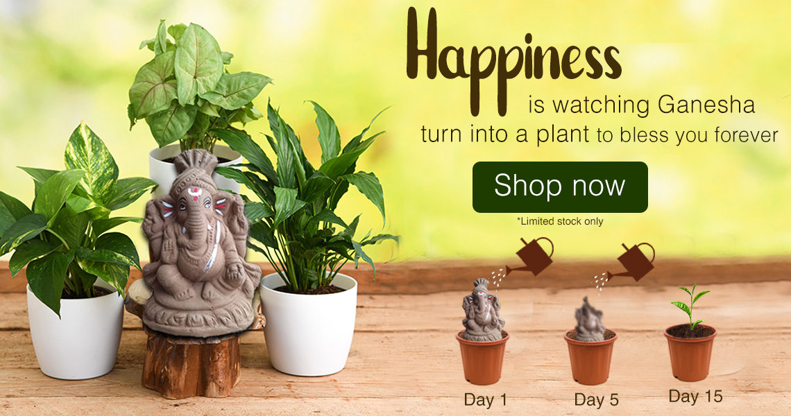 Eco friendly Seed Ganesh Murti